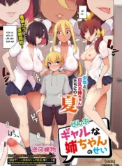truyen-zenbu-gal-na-nee-chan-no-sei.jpg